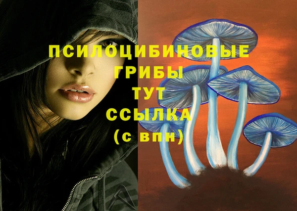 скорость Бронницы
